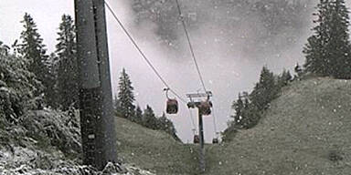 kitz2.jpg
