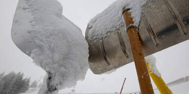kitz_04.jpg