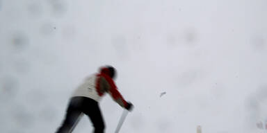 kitz_06.jpg