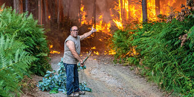 Waldbrand Hitze