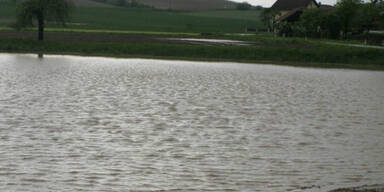 kleinersee.jpg