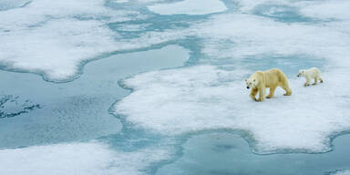 klimawandel960.jpg
