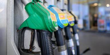 Stiglechner meldet Insolvenz an