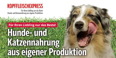 kopffleischexpress_stars24_Konsole.jpg