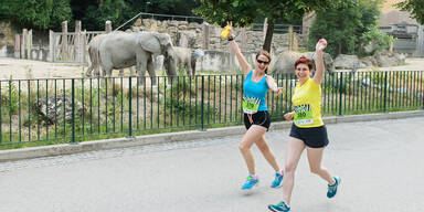 Der außergewöhnlichste Lauf Wiens – zwischen Elefanten und Pinguinen