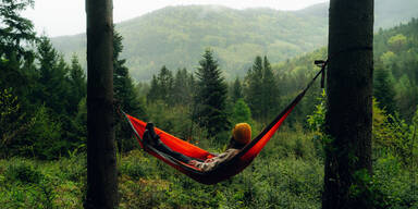 Windrad-Schocker in Burgschleinitz