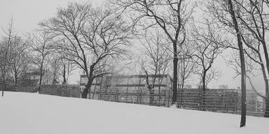 Schnee in Wien 