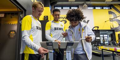 NÖ Unternehmen arbeitet mit deutschem Bundesligisten BVB zusammen