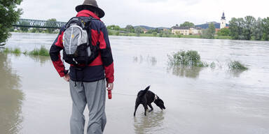 Hochwasser bei Melk, Wachau 