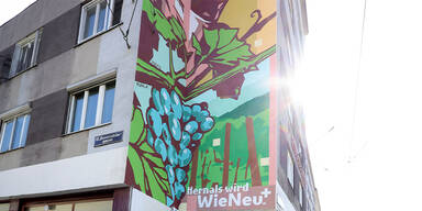 Mural Hernals