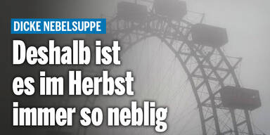 nebel.jpg