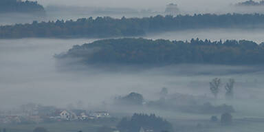 nebel.jpg