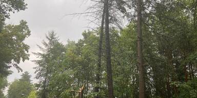 neunkirchen1.jpg