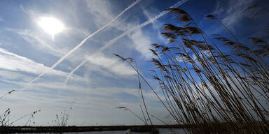 neusiedlersee_apa.jpg