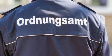 Gefälschter Hitler-Screenshot erschüttert Wels