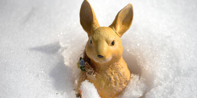 Osterhase Schnee