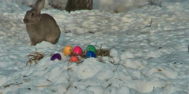 ostern.jpg
