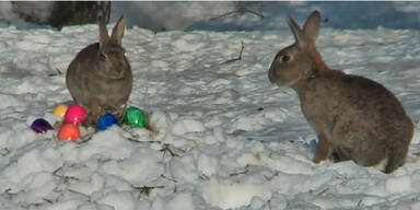 ostern.jpg