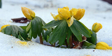 ostern_schnee.jpg