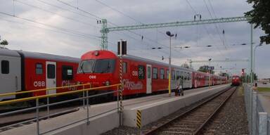 Pistolen-Kids aus Wien (13, 14) überfielen Passagiere in Zug