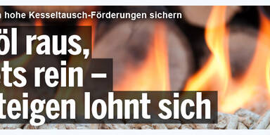 pellets_WETTER_AT-(3).jpg