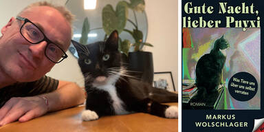 Des Katers letzte Reise