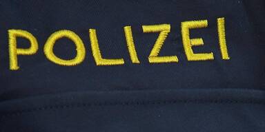 600.000 Euro Schaden durch gefälschte FinanzOnline-Nachrichten