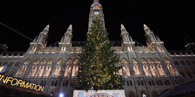 Christkindlmarkt Wien Rathaus