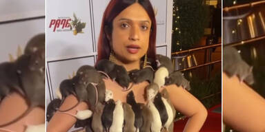 DJane trägt Kleid aus lebendigen Ratten am Red Carpet