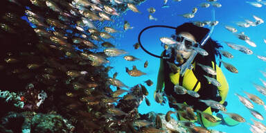 reef-4.jpg