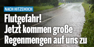 regen.jpg