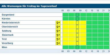 regen1.JPG