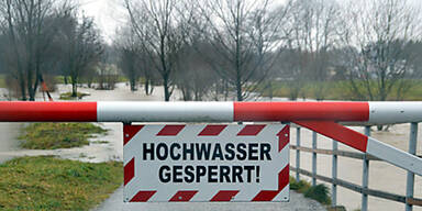 regen1.jpg