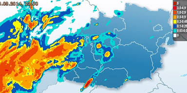 regen1000.jpg