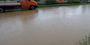 regen2.jpg