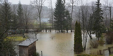 regen2.jpg