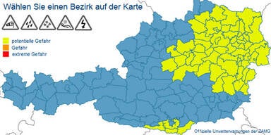 regen4.jpg