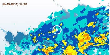 regen8.jpg