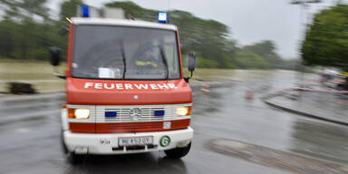 regen810.jpg