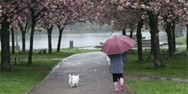 regen
