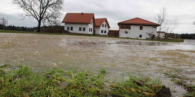 regen_610.jpg