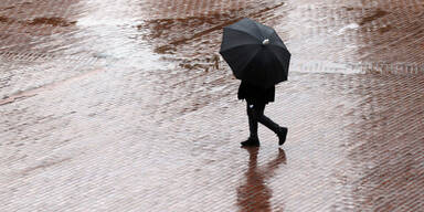 regen_ap.jpg