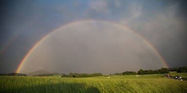 regenbogen.jpg