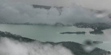 regenw-4.jpg