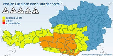 regenw-5.jpg