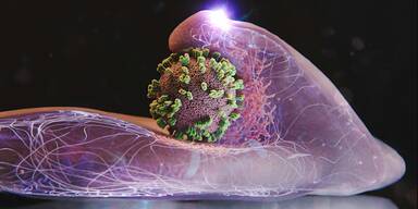 Kranken-Serie! So greift der Grippe-Virus uns an