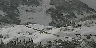 rh11.jpg