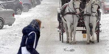 Schnee in Wien 