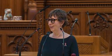 Alarmbericht zu Wiener Krisenzentren: Volkspartei mit scharfer Kritik