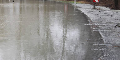 salzach1.jpg